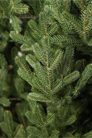 Елка "Элоди" 100% РЕ