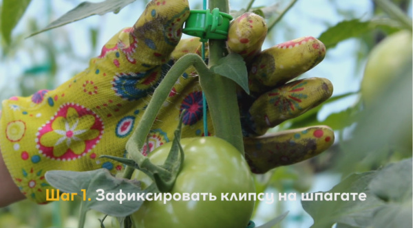 Хомут садовый для подвязки и фиксации растений 15см, уп. 50 шт.