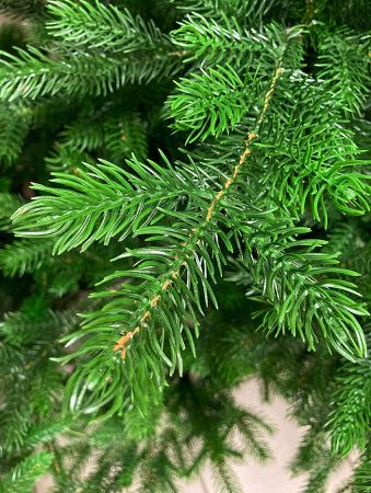 Елка "Астерия Премиум" 100% РЕ