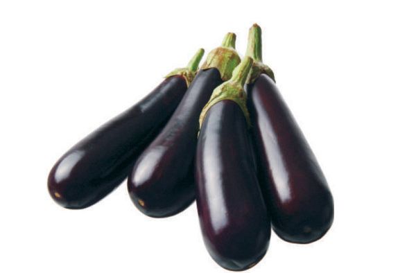 баклажан Рома F1