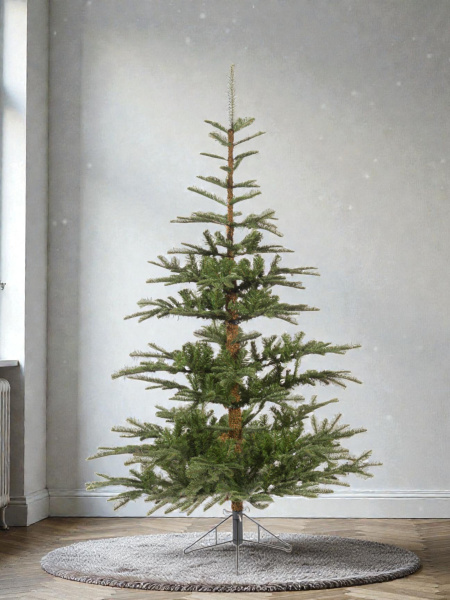 Елка "Нобилис"