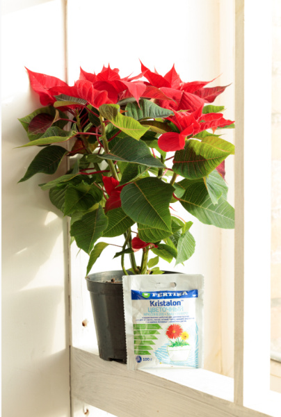 Удобрение фертика КРИСТАЛОН Универсальный, 100гр