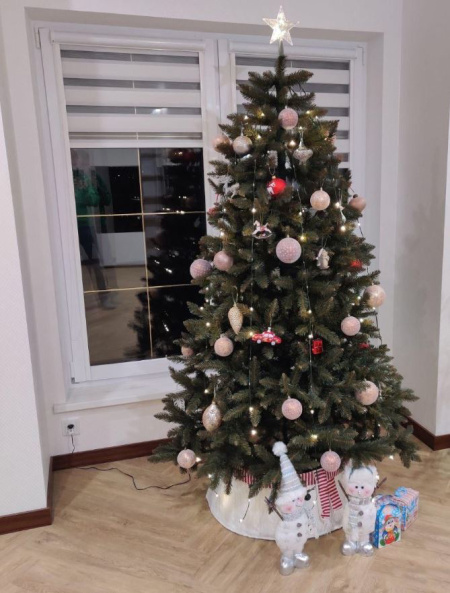 Елка "Бовари"