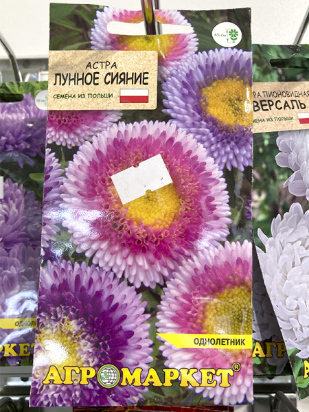 астра Лунное сияние смесь