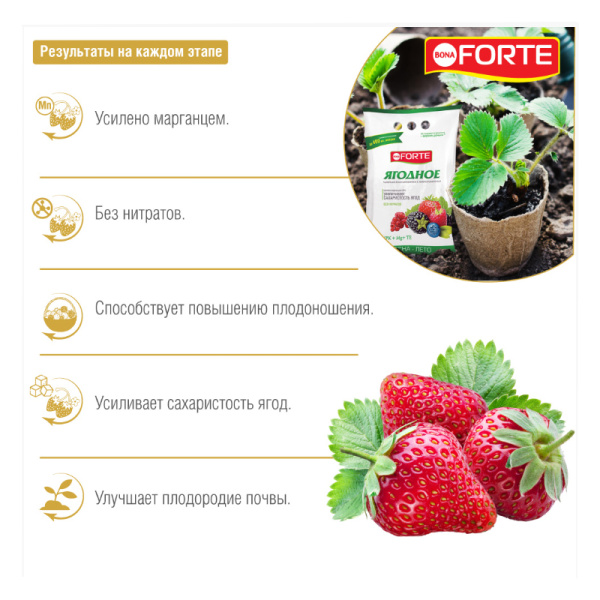 Удобрение минеральное Bona Forte "Ягодное" (17-6-14) 2.5кг