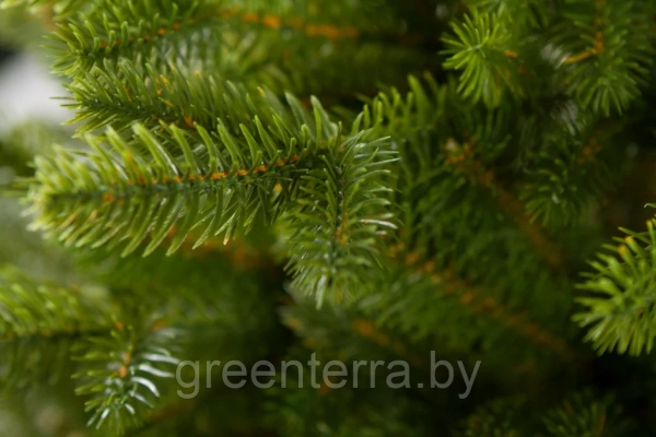 Елка "Аляска" (тёмная)