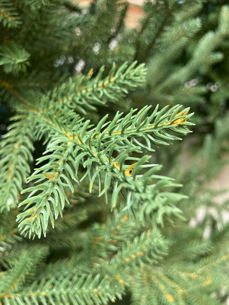 Елка "Синдерелла" 100% РЕ