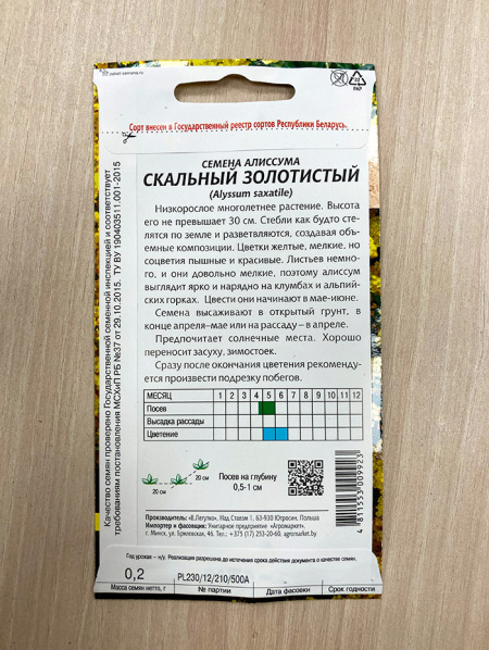 алиссум скальный золотистый