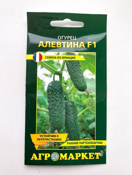 Огурец Алевтина F1