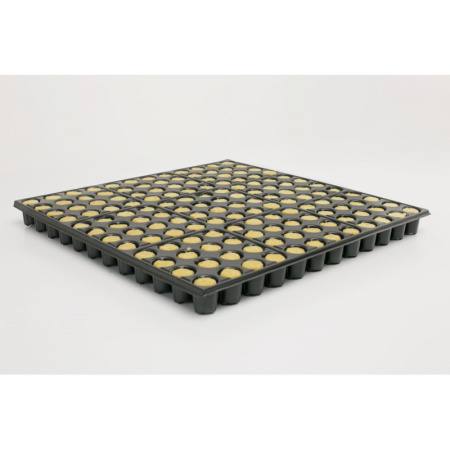 Кассета для рассады 144 ячейки (144-Ф Гидропоника), 20мл 