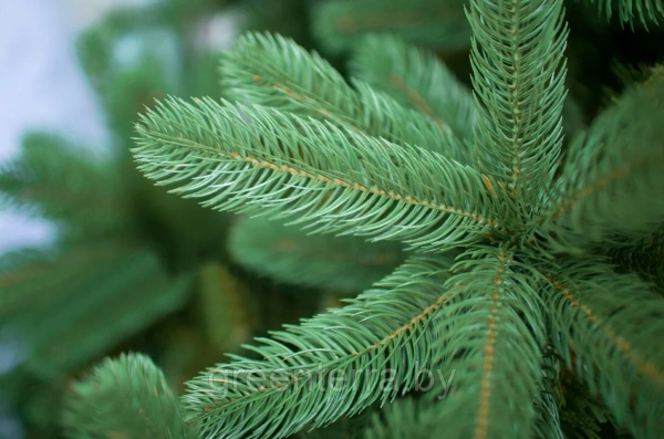 Ель интерьерная "Европейская"