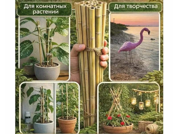 Бамбуковая опора (поддержка для растений), длина 60см, осн. Ø 8–10 мм, (500 шт./уп)
