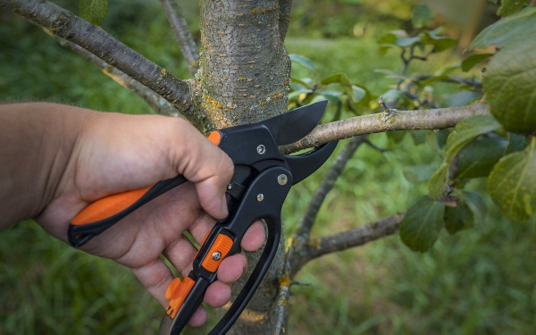 Садовый секатор для обрезки веток BRADAS KT-V1025, с редуктором и наковальней