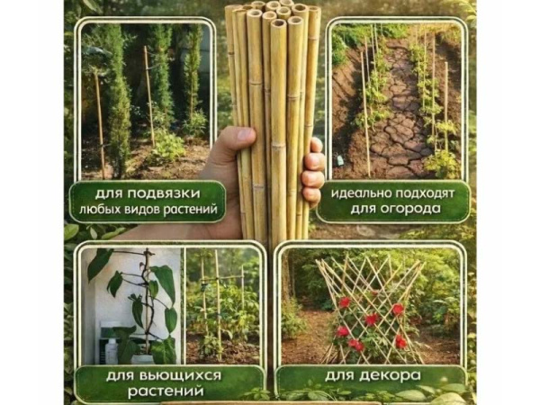 Бамбуковая опора (поддержка для растений), длина 60см, осн. Ø 8–10 мм, (500 шт./уп)